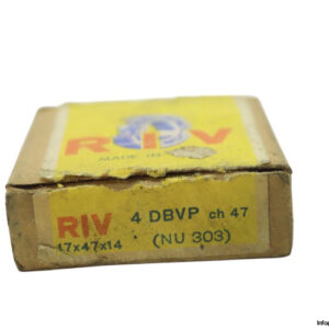 riv-4-DBVP-cylindrical-roller-bearing-new-carton-1