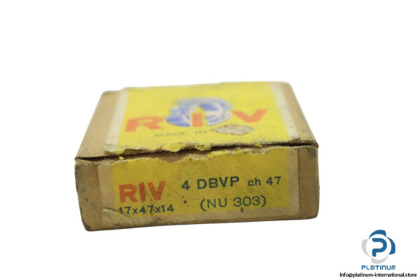 riv-4-DBVP-cylindrical-roller-bearing-new-carton-1