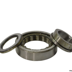 riv-9DBV-9DB_Z-cylindrical-roller-bearing-new