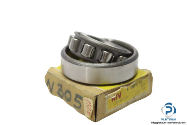 riv-6-DBPV-25-cylindrical-roller-bearing-new-carton