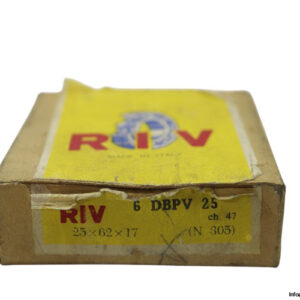 riv-6-DBPV-25-cylindrical-roller-bearing-new-carton-1