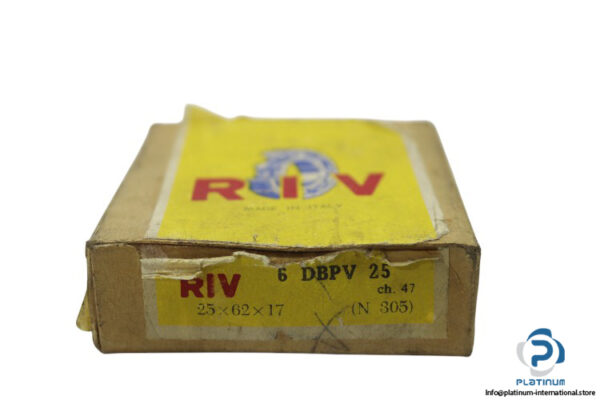riv-6-DBPV-25-cylindrical-roller-bearing-new-carton-1