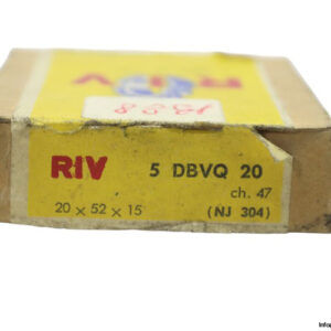 riv-5-DBVQ-20-cylindrical-roller-bearing-new-carton-1
