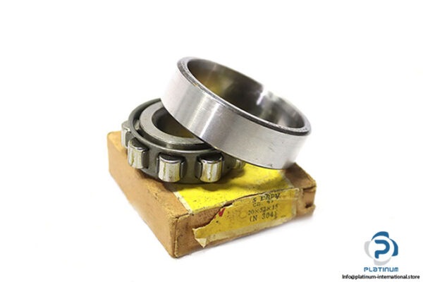 riv-5-DBPV-cylindrical-roller-bearing-new-carton