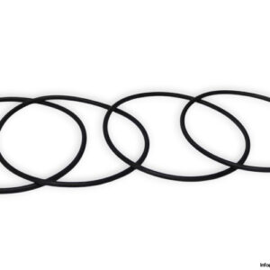 flender-17261242-ring-seal-kit-(new)