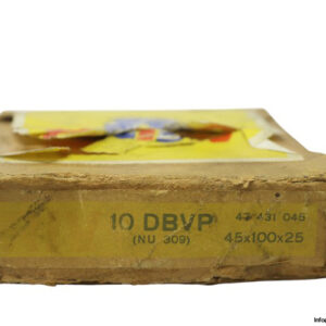 riv-10-DBVP-cylindrical-roller-bearing-new-carton-1