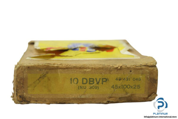 riv-10-DBVP-cylindrical-roller-bearing-new-carton-1