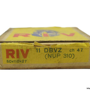 riv-11-DBVZ-cylindrical-roller-bearing-new-carton-2