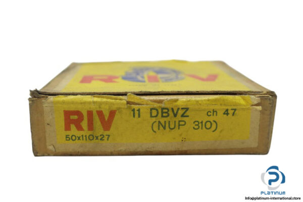riv-11-DBVZ-cylindrical-roller-bearing-new-carton-2