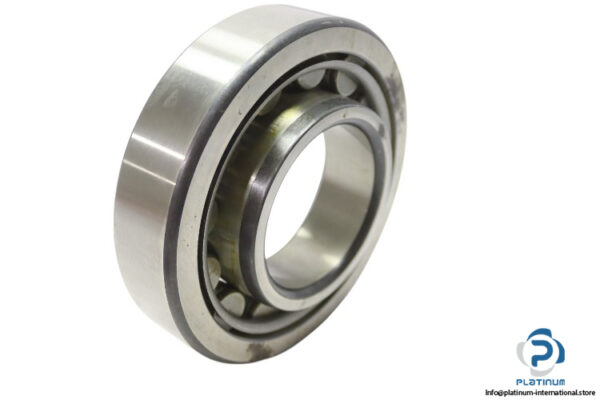 fag-N310-cylindrical-roller-bearing-used