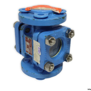 flowserve-ASG-0000943-flanged-flow-indicator-used