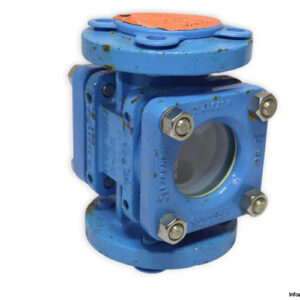 flowserve-ASG-0000944-flanged-flow-indicator-used