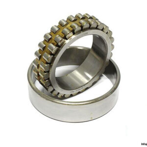 zkl-nn3022k-p5_c1-double-row-cylindrical-roller-bearing-1