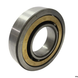 riv-20BON_7319-angular-contact-ball-bearing-new