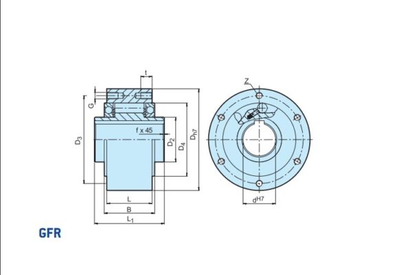 stieber-GFR-40-B-freewheel-clutch-bearing-used-2