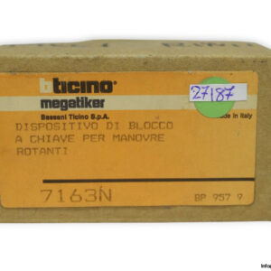 bticino-7163N-key-locking-device-(new)-1