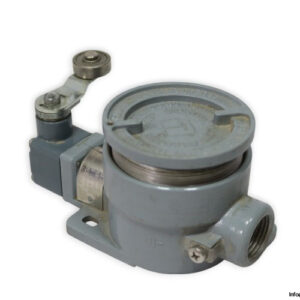 PS-S-31-limit-switch-(new)