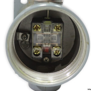 PS-S-31-limit-switch-(new)-1