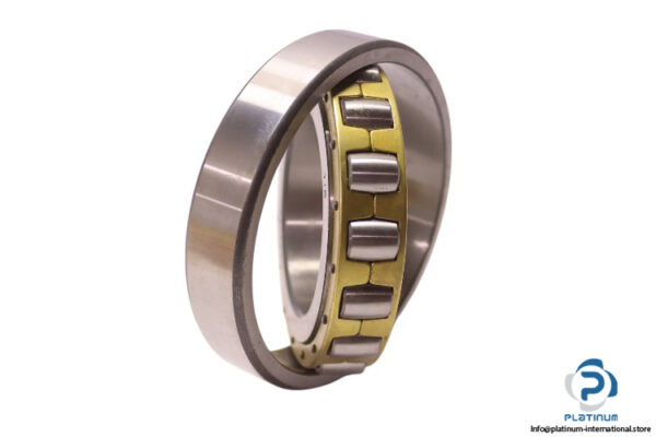 fag-20213-K.MB-barrel-roller-bearing-new