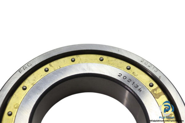 fag-20213-K.MB-barrel-roller-bearing-new-1