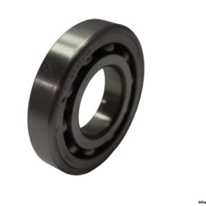r_m-SLJS2-ball-bearing-new
