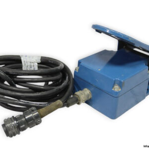 w-gessmann-P7-1-Z-P-X-pedal-controller-used