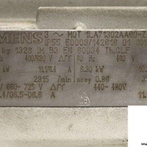 dickow-pumpen-nmlh-40_165-magnetic-driven-process-pump-6