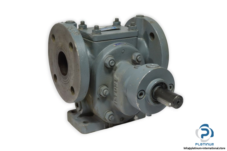 dudek-pumpen-50489-11_A-gear-pump-(used)