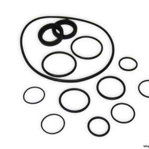 jabsco-24084-9100B-o-ring-kit-(new)