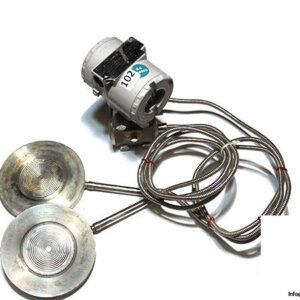 smar-LD303-pressure-transmitter-with-extension