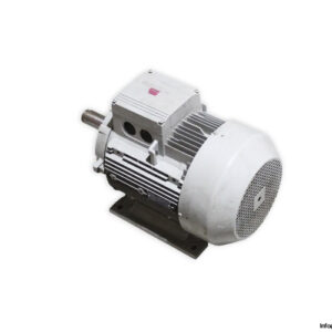 siemens-1LA7166-1BD60-Z-3-phase-electric-motor-used-1