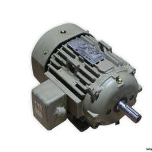 ge-5KS215SAA108D1-3-phase-electric-motor-used