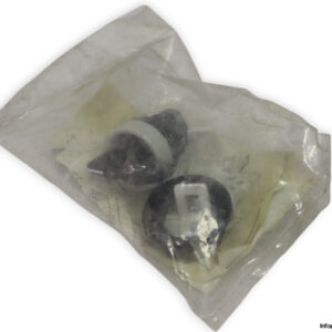 sprecher-schuh-LFC-2-B-001-rotary-cam-switch-(new)