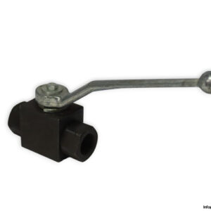 pister-BKH-G5_8-ball-valve-used-1