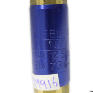 FEU-04-fuel-gas-flashback-arrestor-(used)-2