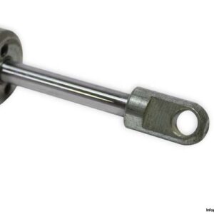 ace-HBA-28-200-AA-M-gas-spring-(used)-1