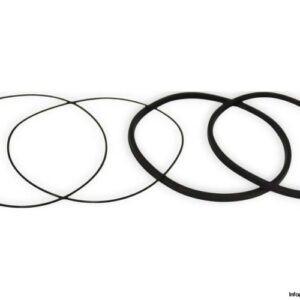 parker-PK9002A005-piston-seal-kit-new