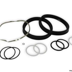 norgren-QM_731_00-wearing-parts-kit-new-1
