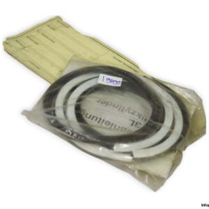 parker-PK322HLL001-piston-seal-new