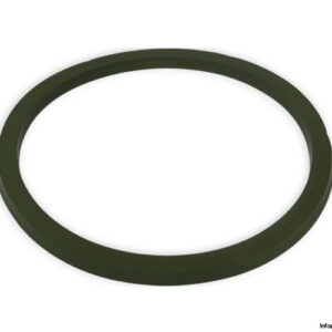 westring-Z8-G014-V3681-piston-seal-new