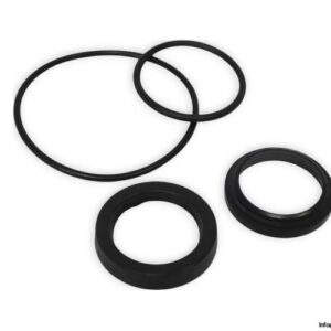 weber-55107.4_VN1517-gasket-set-new