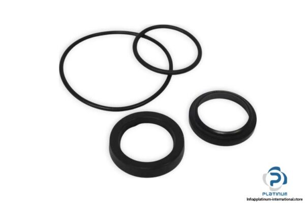 weber-55107.4_VN1517-gasket-set-new