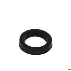 hanchen-2BT2A2PA-seal-kit-new