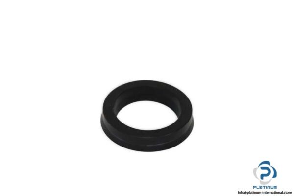 hanchen-2BT2A2PA-seal-kit-new