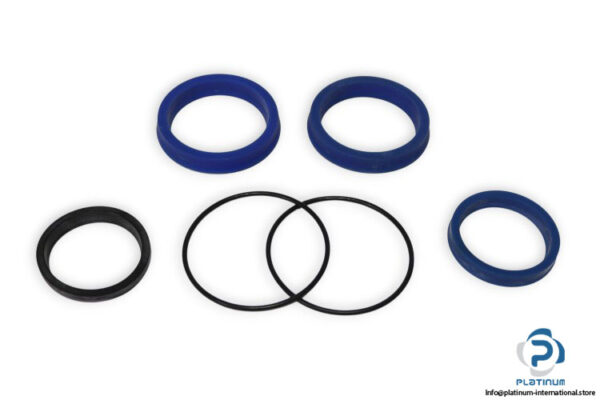 hanchen-2CV3P1PA-seal-kit-new