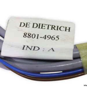 de-dietrich-200000093-anode-titane-(new)-1