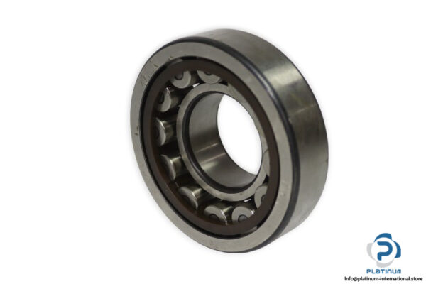 skf-NJ-308-ECP-cylindrical-roller-bearing-new