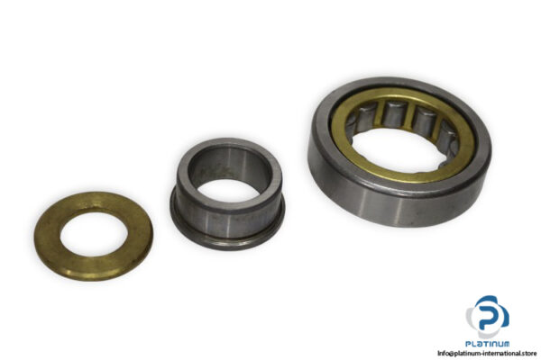 lfd-NJ-305-EM-cylindrical-roller-bearing-new