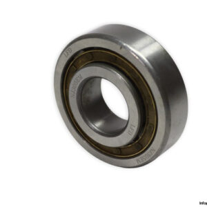 lfd-NJ-305-EM-cylindrical-roller-bearing-new-1
