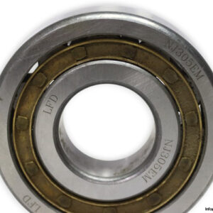 lfd-NJ-305-EM-cylindrical-roller-bearing-new-2